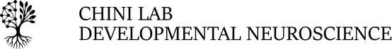 Chini Lab