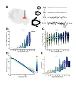 An increase of inhibition drives the developmental decorrelation of neural activity