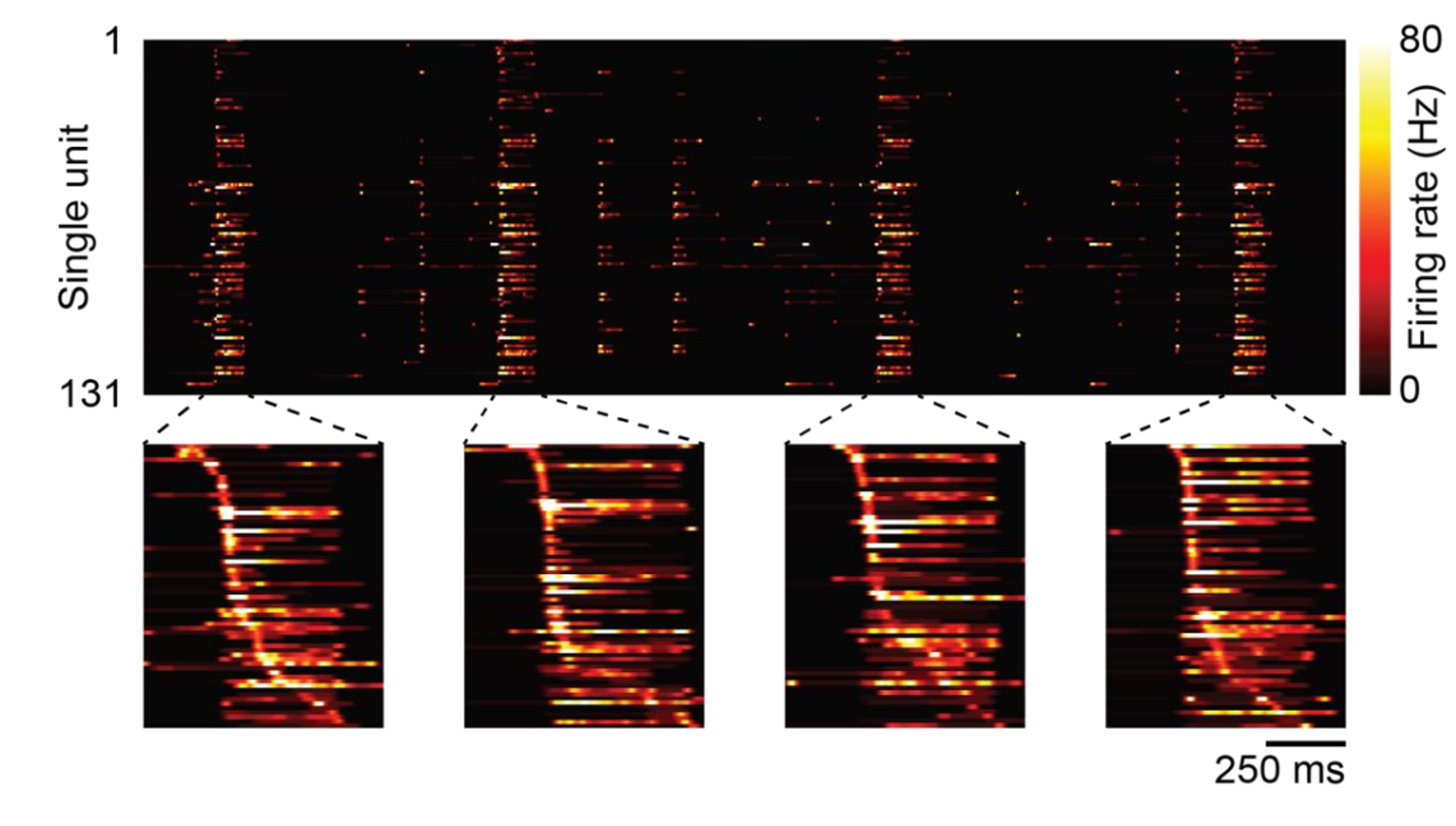 protosequences